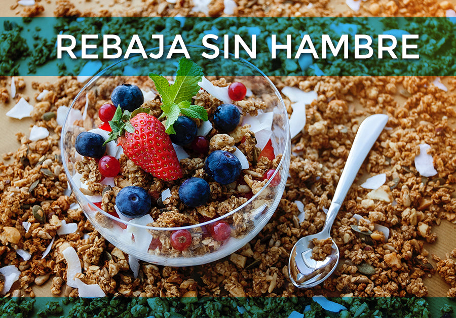 Dietas y Rebajar Sin Hambre