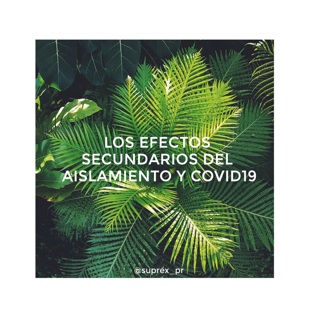 Efectos Secundarios del Aislamiento