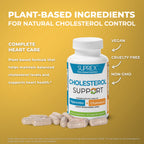 Cholesterol Support